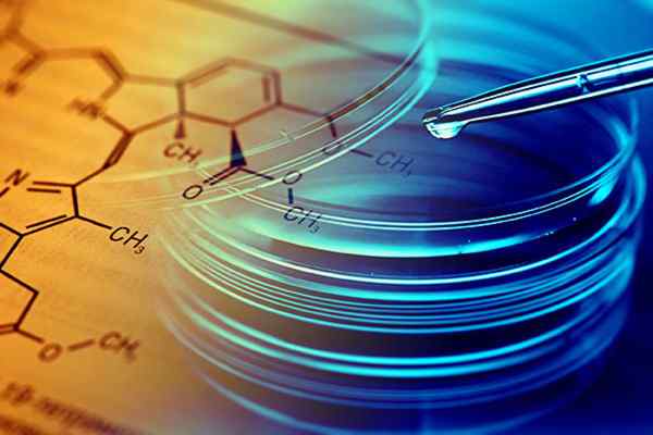 Anatel nega compensação de investimentos em P&D da Oi